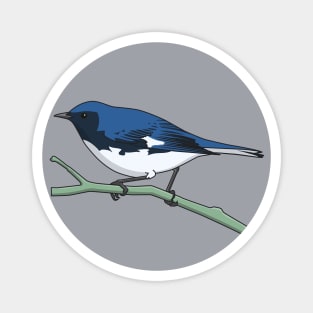 Black-throated Blue Warbler Magnet